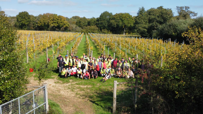 The 2025 Kingscote Harvest is complete