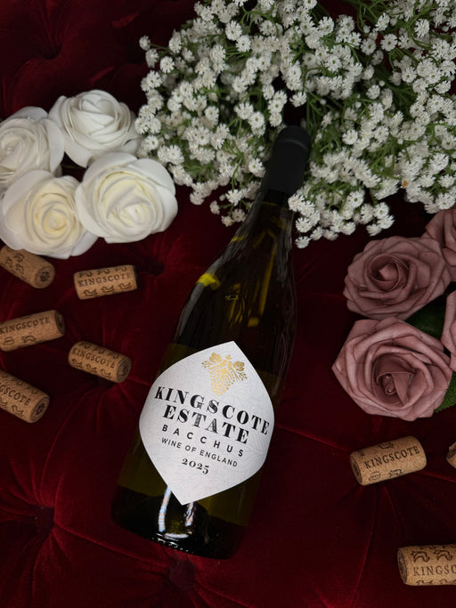 Bacchus 2025 - Single Bottle
