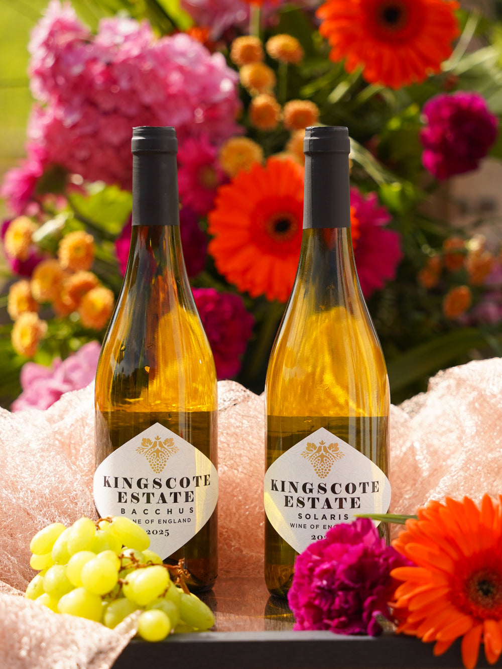 Our Wines photo 10