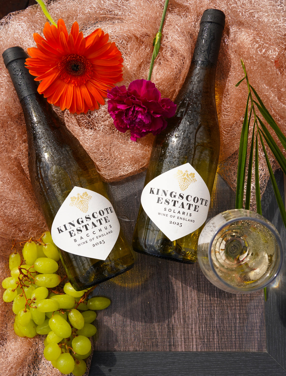 Our Wines photo 9