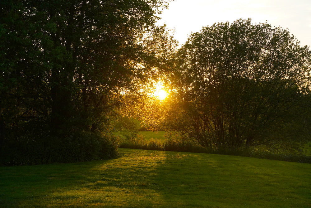 Scenery photo 6