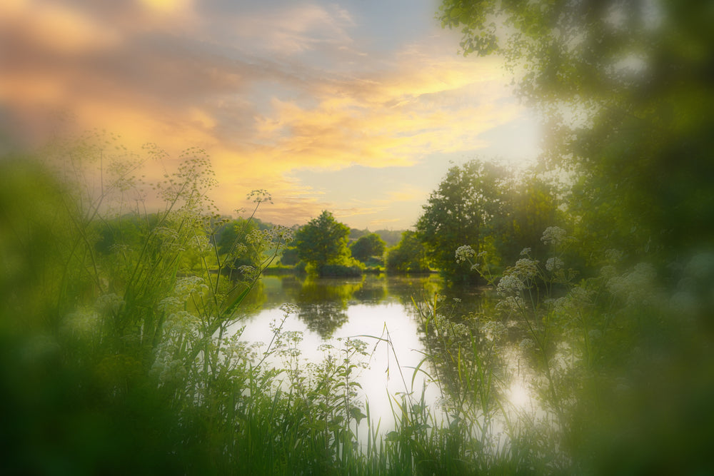 Scenery photo 7