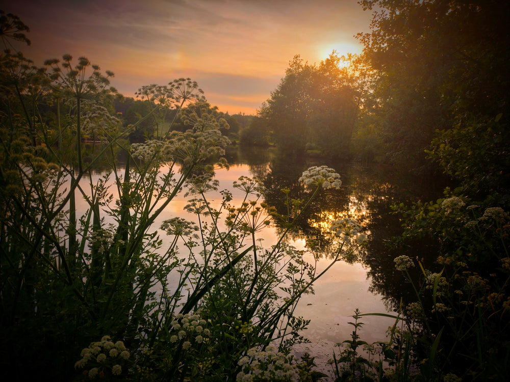 Fishing at Kingscote photo 3