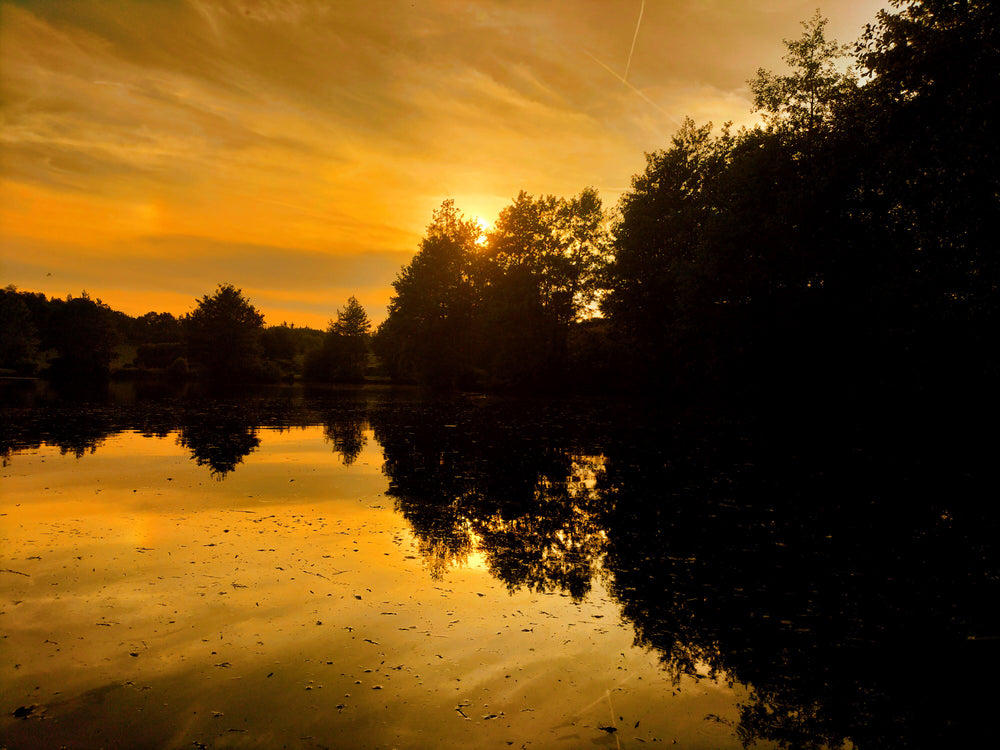Fishing at Kingscote photo 4